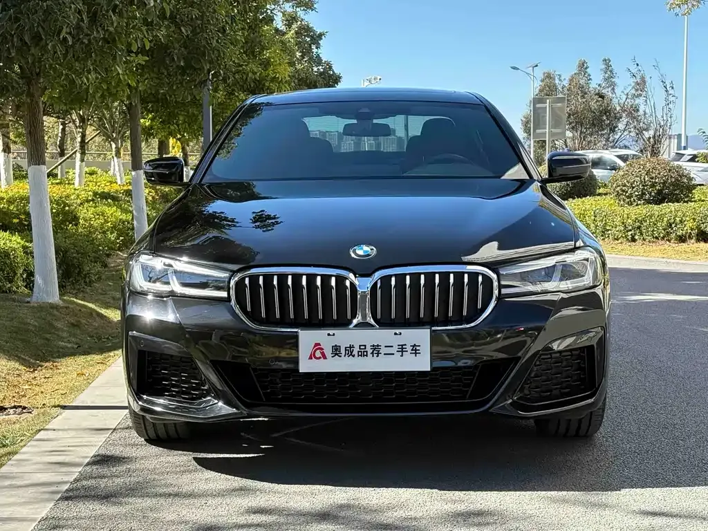 BMW 5 Series 2023 из CN, фото 7