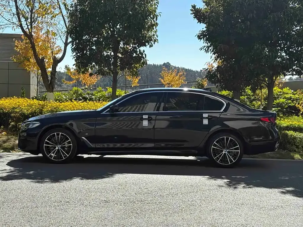 BMW 5 Series 2023 из CN, фото 9