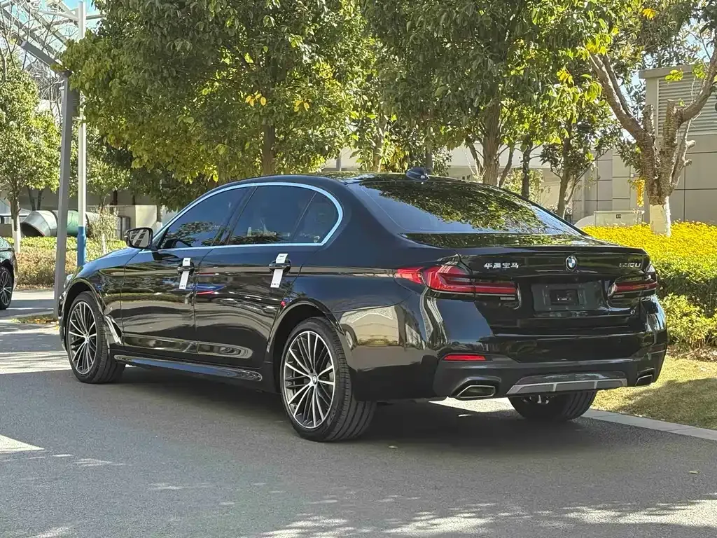 BMW 5 Series 2023 из CN, фото 6