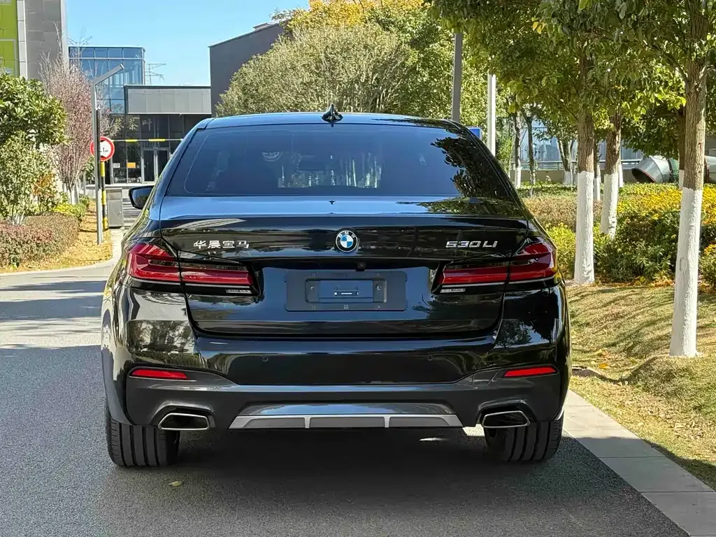 BMW 5 Series 2023 из CN, фото 10