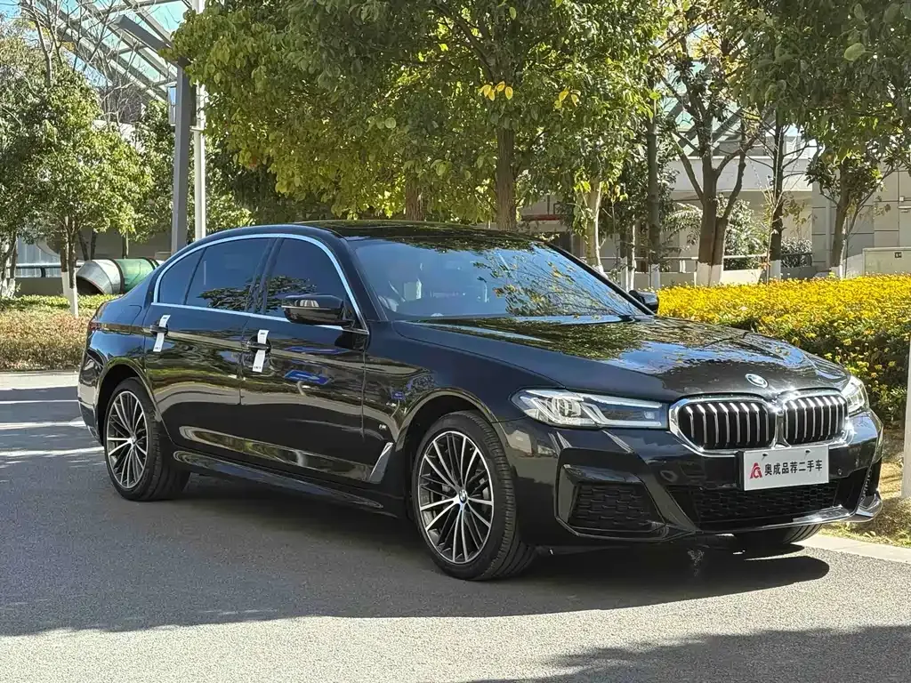 BMW 5 Series 2023 из CN, фото 8