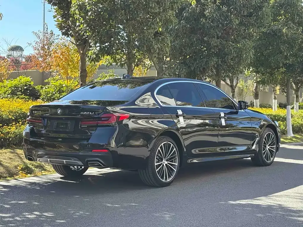 BMW 5 Series 2023 из CN, фото 5