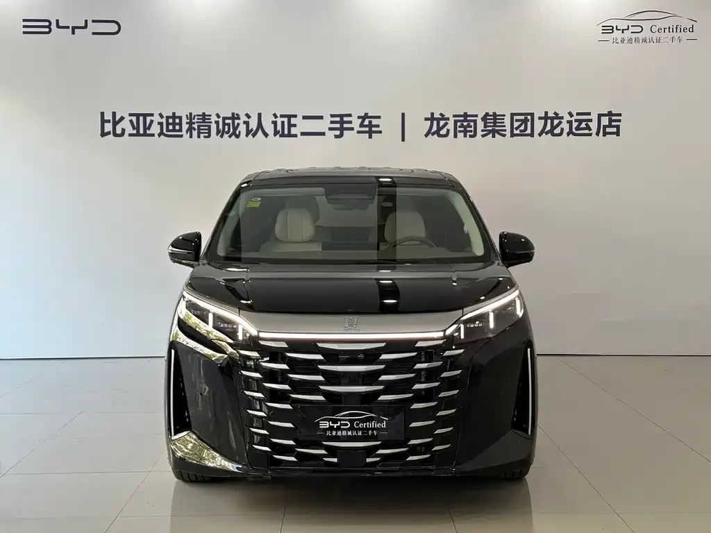 BYD Xia 2025 из CN, фото 2