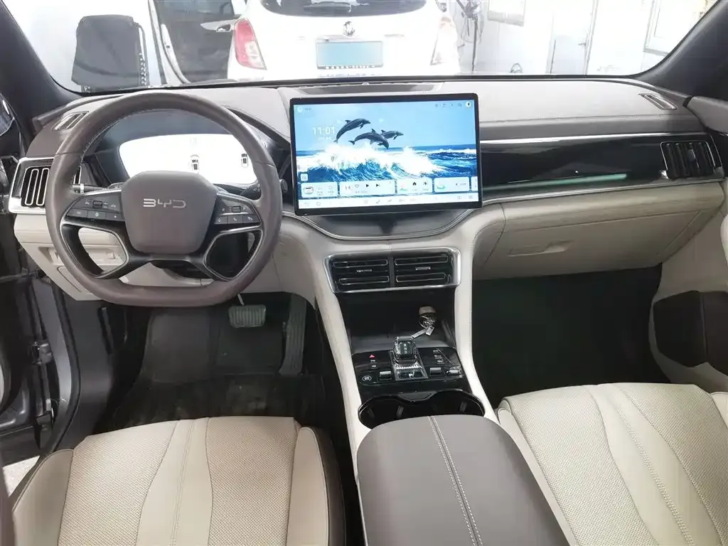 BYD PLUS New Energy 2025 из CN, фото 7