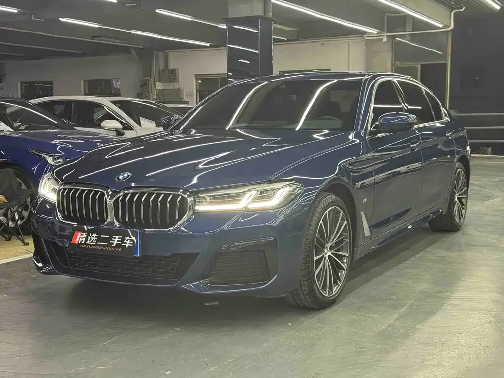 BMW 5 Series 2021 из CN, фото 1