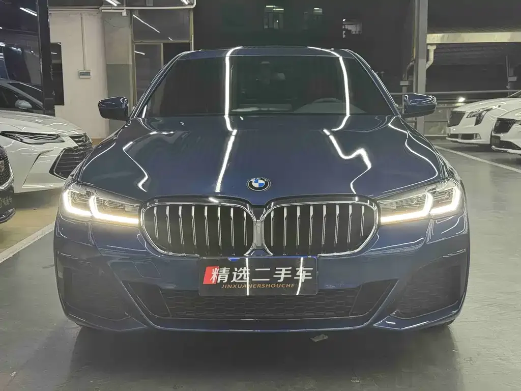BMW 5 Series 2021 из CN, фото 2
