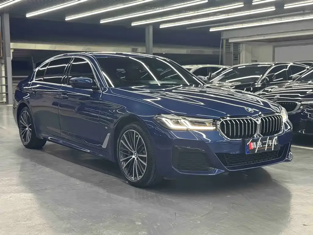 BMW 5 Series 2021 из CN, фото 9