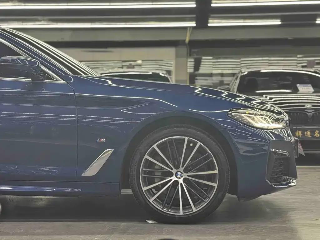 BMW 5 Series 2021 из CN, фото 8