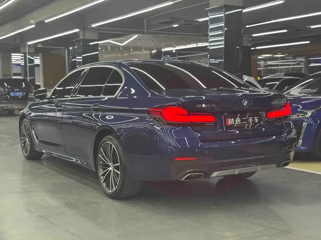 BMW 5 Series 2021 из CN, фото 3