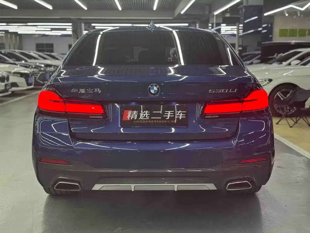 BMW 5 Series 2021 из CN, фото 5
