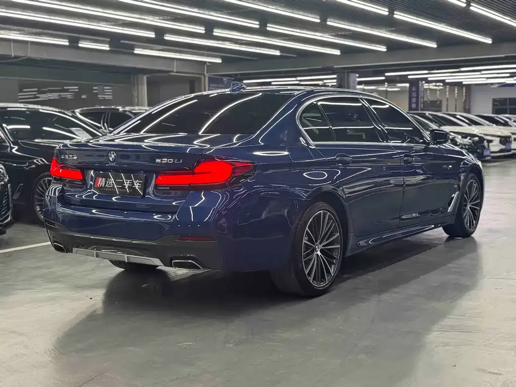 BMW 5 Series 2021 из CN, фото 7