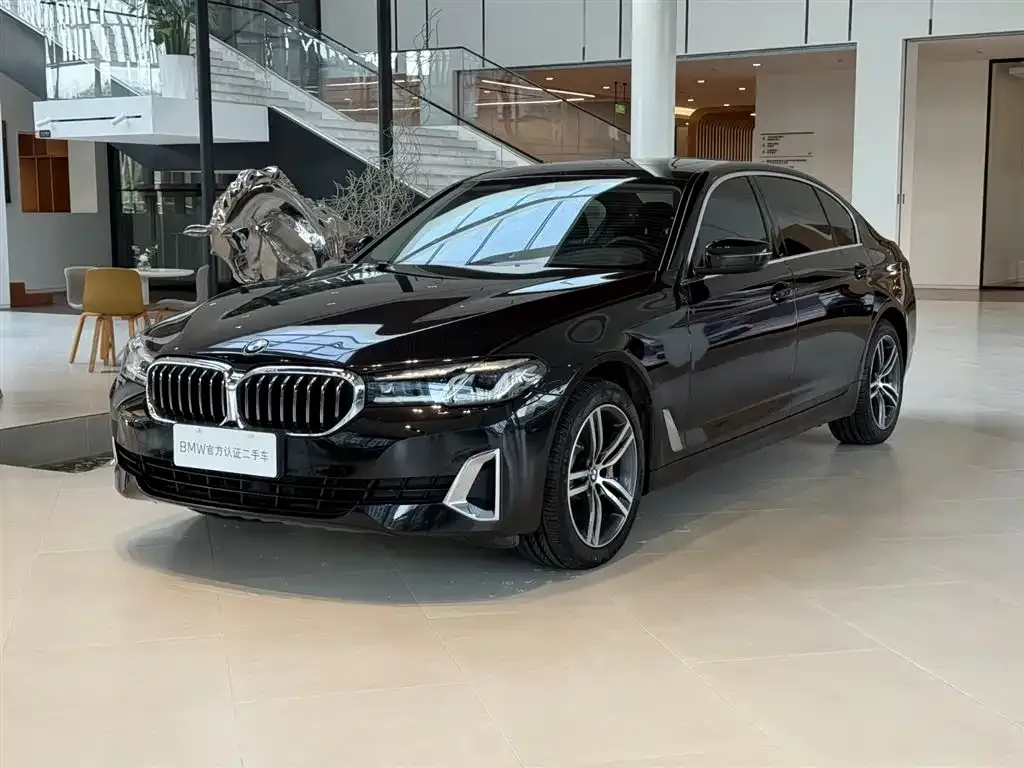 BMW 5 Series 2021 из CN, фото 1