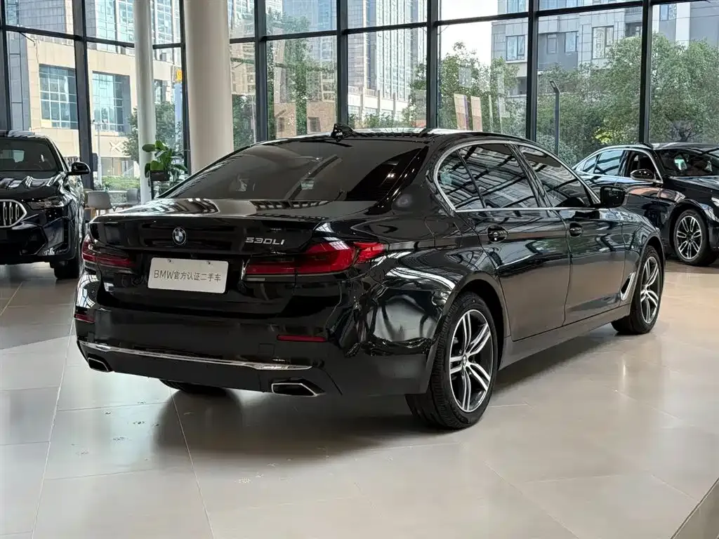 BMW 5 Series 2021 из CN, фото 6