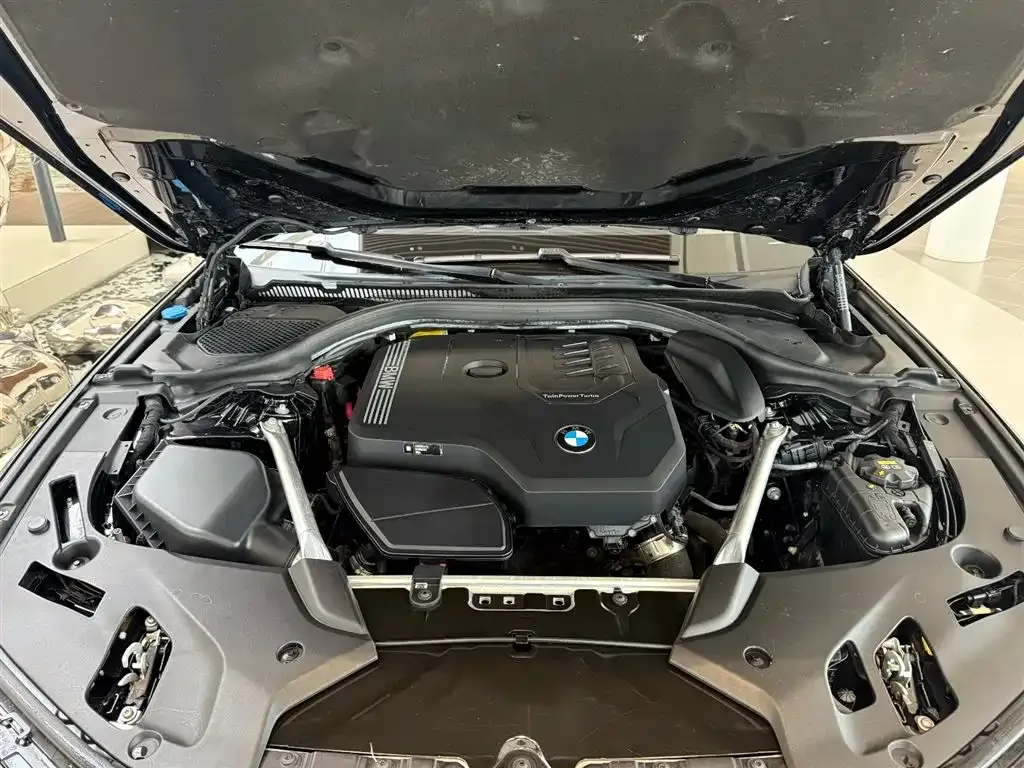 BMW 5 Series 2021 из CN, фото 5