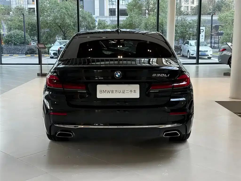 BMW 5 Series 2021 из CN, фото 10