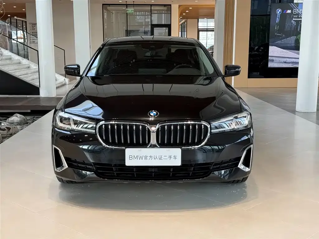 BMW 5 Series 2021 из CN, фото 3