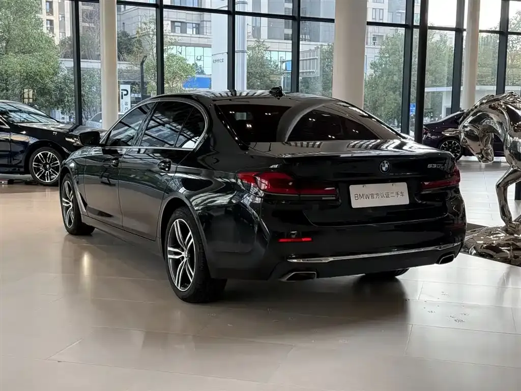 BMW 5 Series 2021 из CN, фото 4