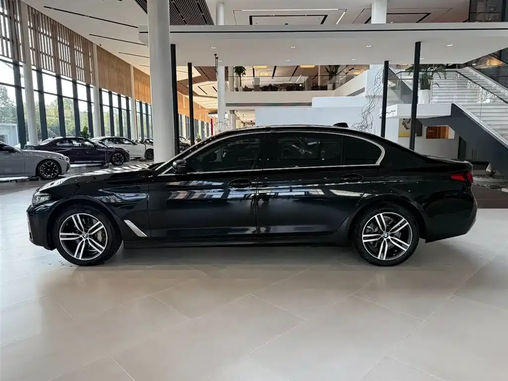BMW 5 Series 2021 из CN, фото 2