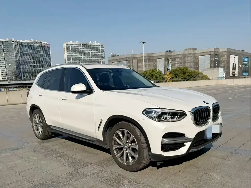 BMW X3 2021 из CN, фото 10