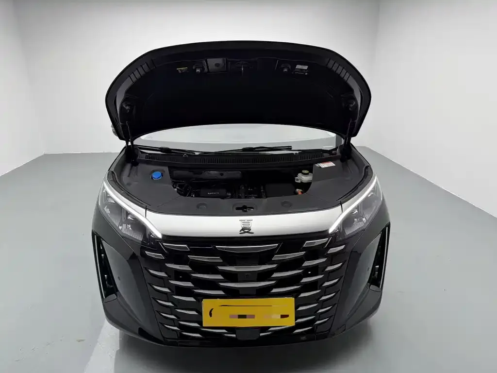 BYD Xia 2025 из CN, фото 5