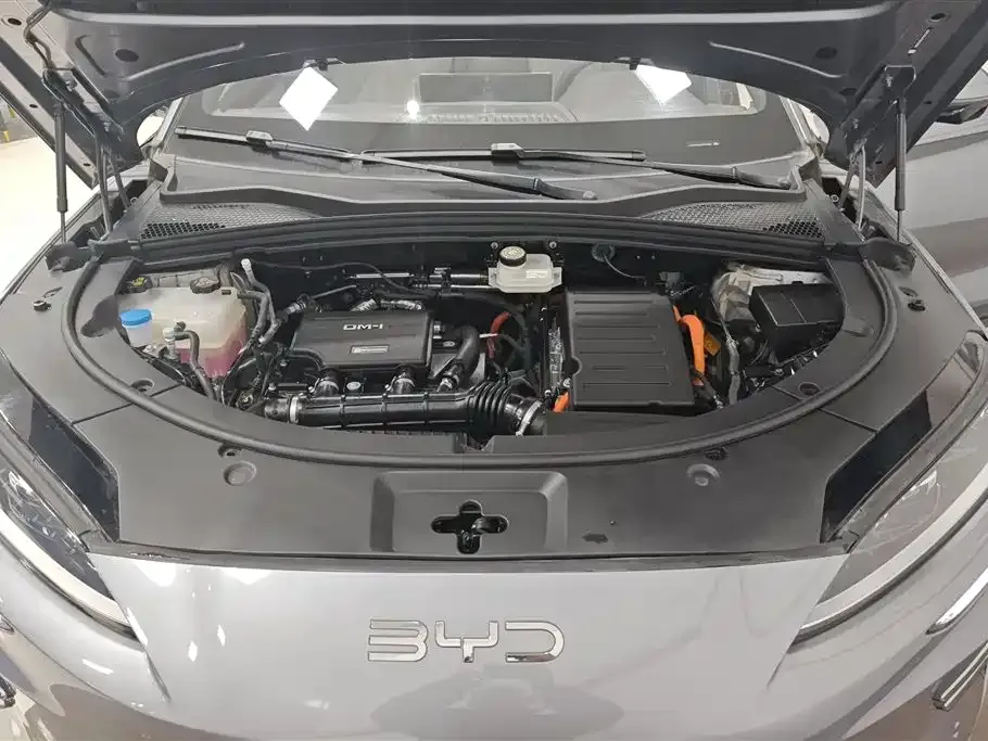 BYD PLUS New Energy 2025 из CN, фото 4