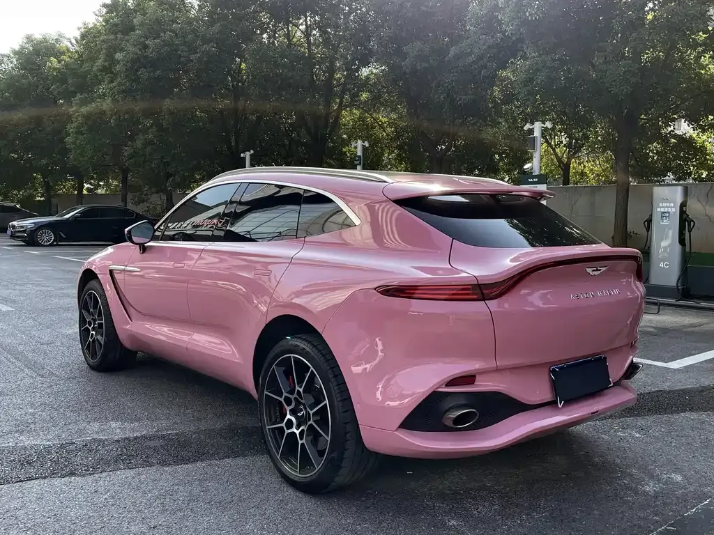 Aston Martin DBX 2021 из CN, фото 8