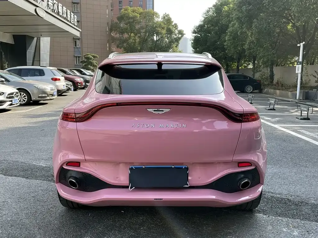 Aston Martin DBX 2021 из CN, фото 3