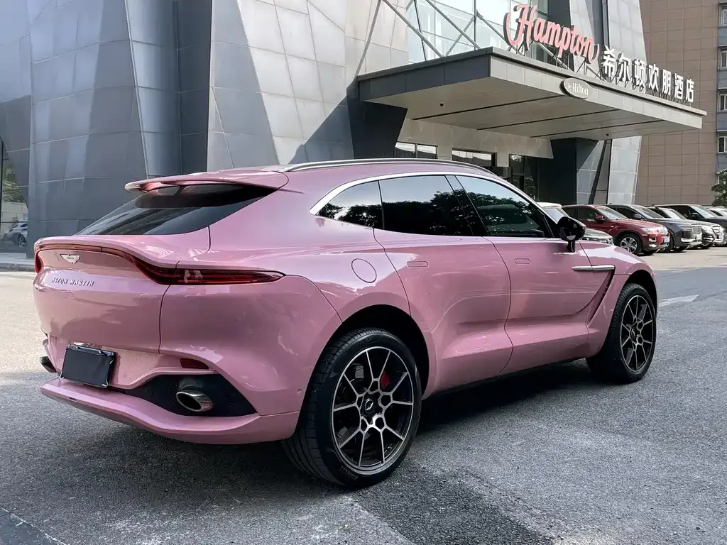 Aston Martin DBX 2021 из CN, фото 4