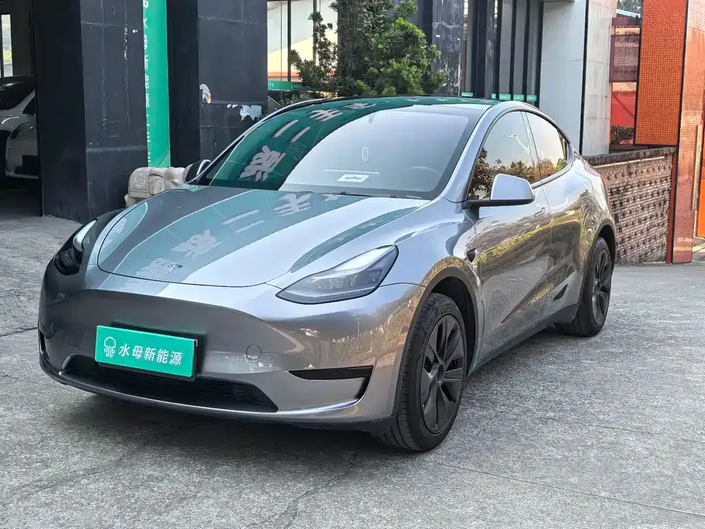 Tesla Model Y 2024 из CN, фото 1