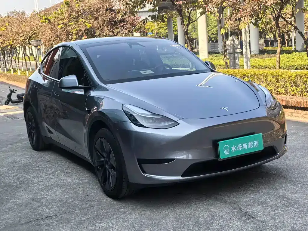 Tesla Model Y 2024 из CN, фото 5