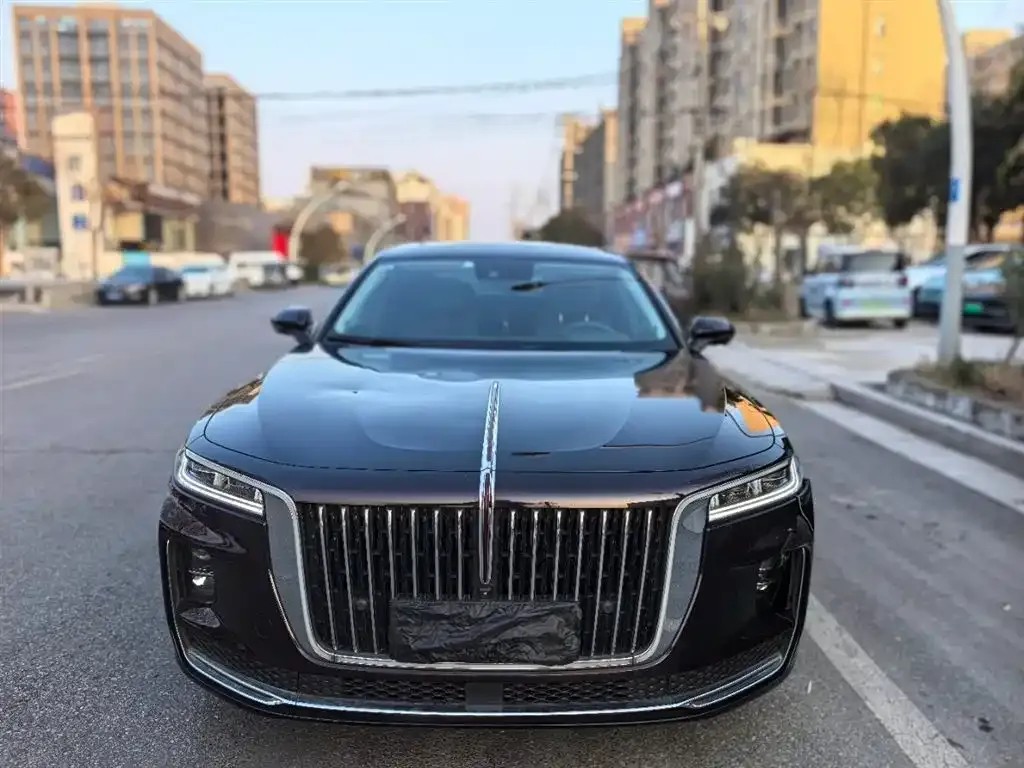 Hongqi H9 2021 из CN, фото 9