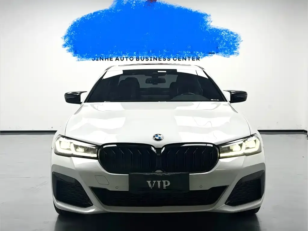 BMW 5 Series 2022 из CN, фото 2