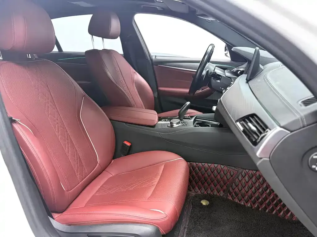 BMW 5 Series 2022 из CN, фото 5