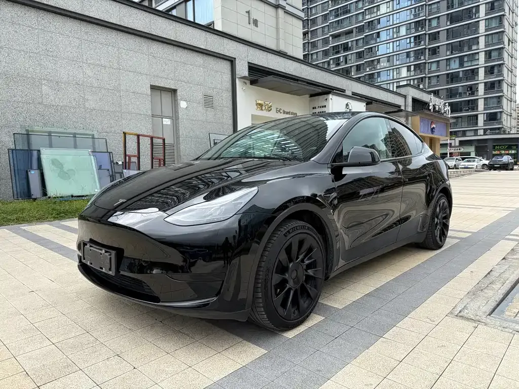 Tesla Model Y 2022 из CN, фото 1