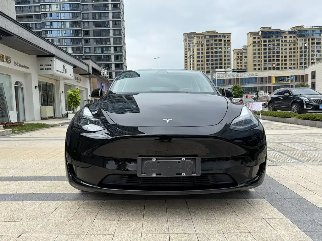 Tesla Model Y 2022 из CN, фото 2