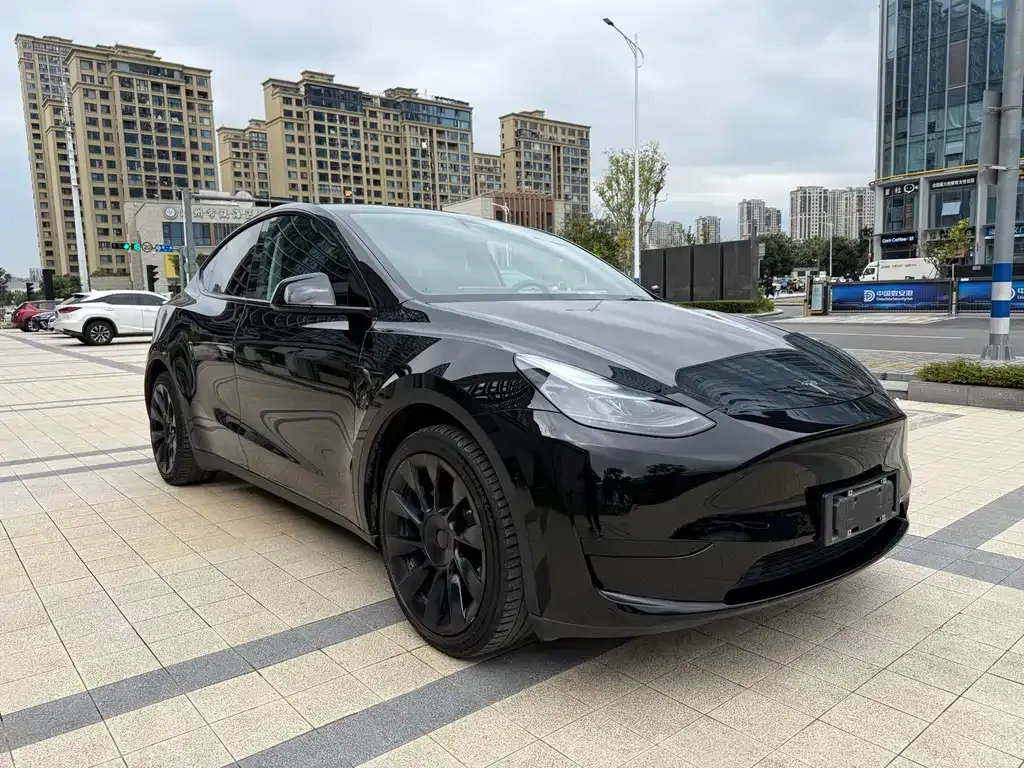 Tesla Model Y 2022 из CN, фото 3