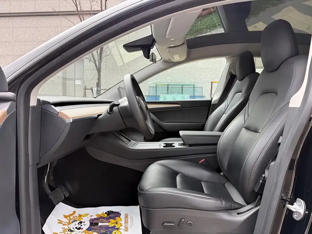 Tesla Model Y 2022 из CN, фото 4