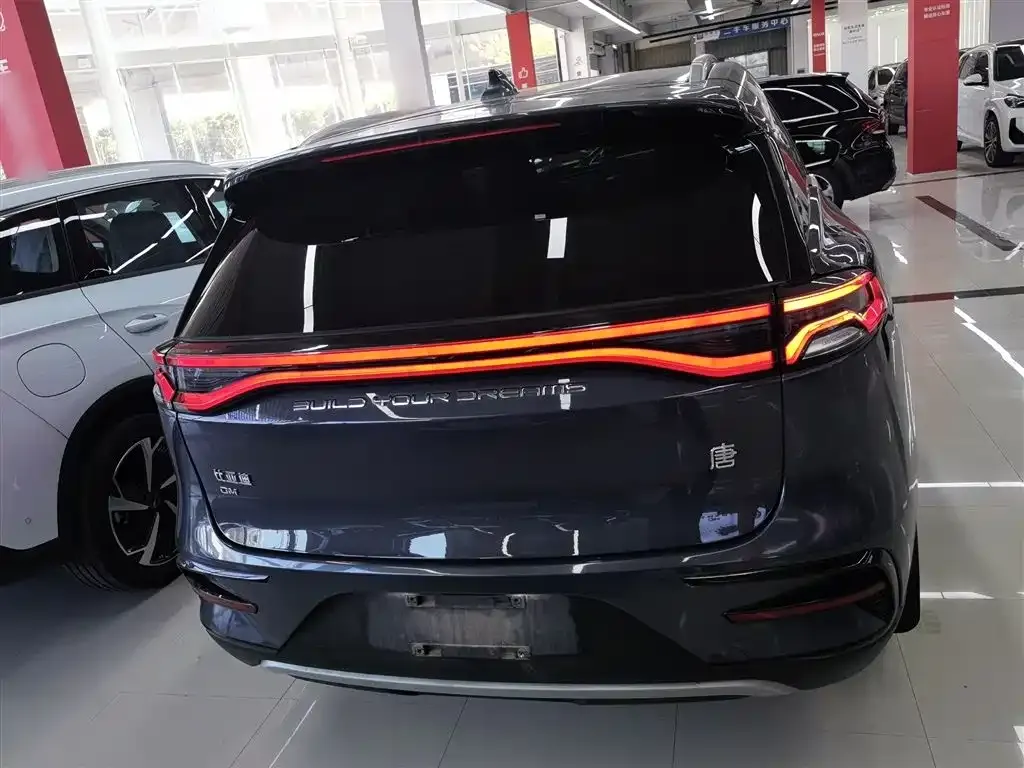 BYD Tang New Energy 2022 из CN, фото 8