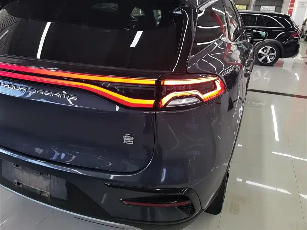 BYD Tang New Energy 2022 из CN, фото 3
