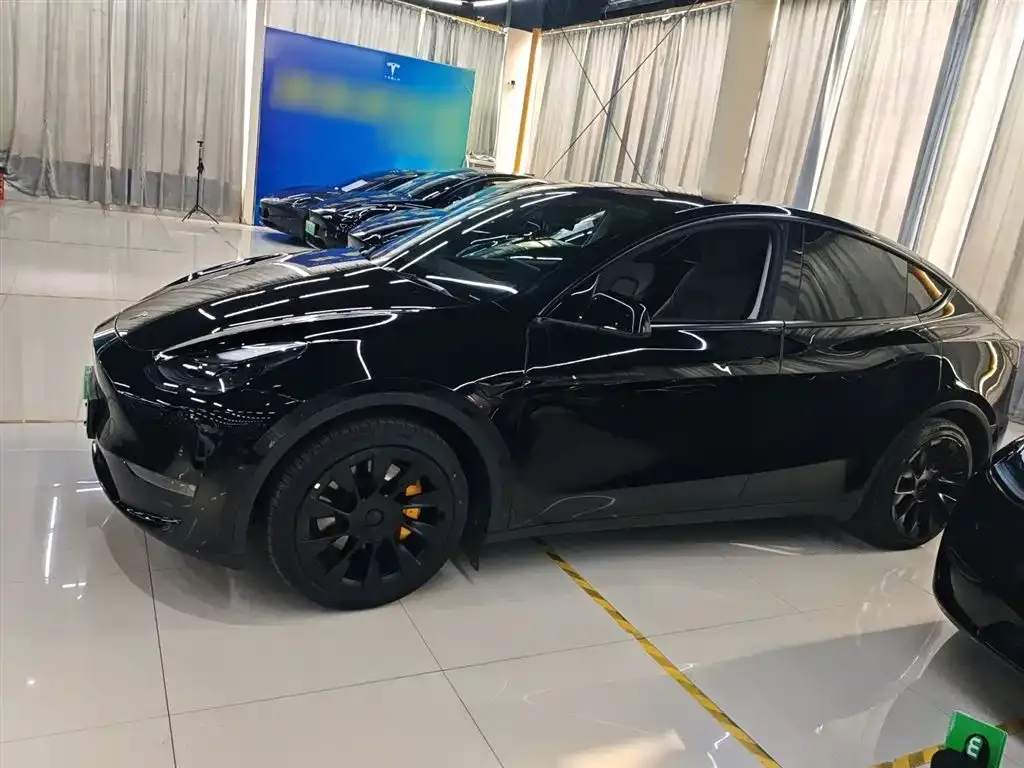 Tesla Model Y 2021 из CN, фото 5