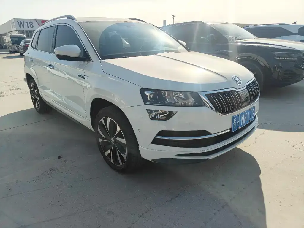 Skoda Karoq 2023 из CN, фото 2