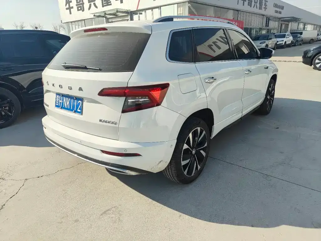 Skoda Karoq 2023 из CN, фото 4