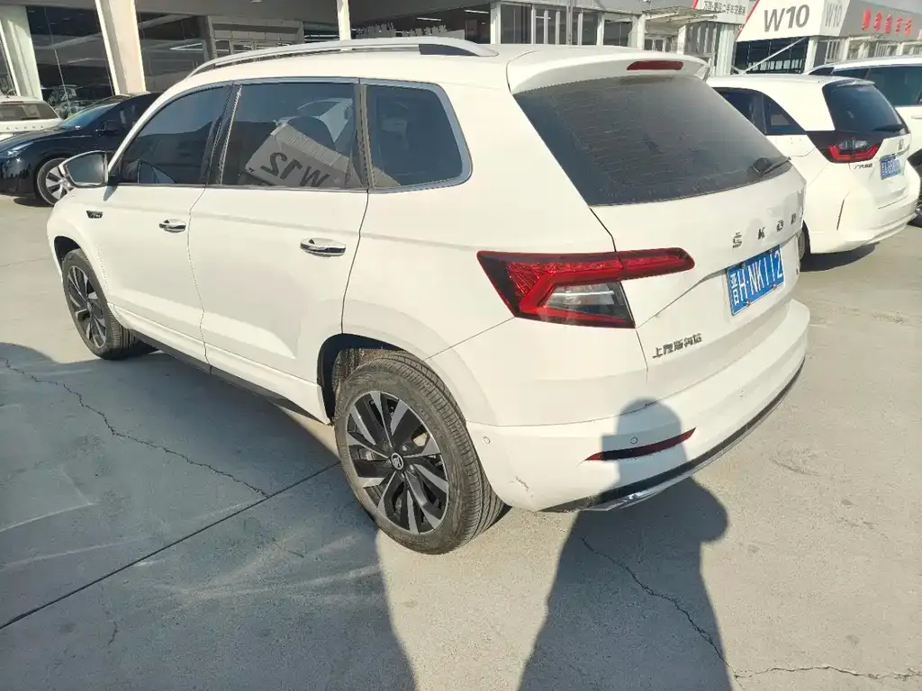 Skoda Karoq 2023 из CN, фото 5