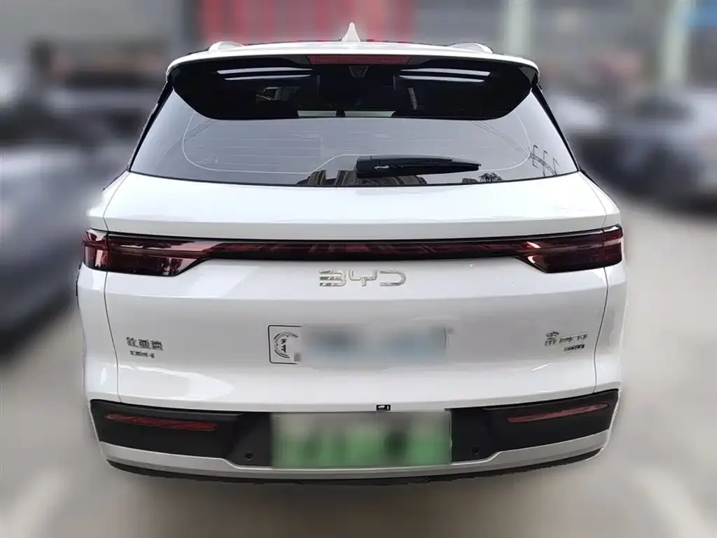 BYD Pro New Energy 2025 из CN, фото 2