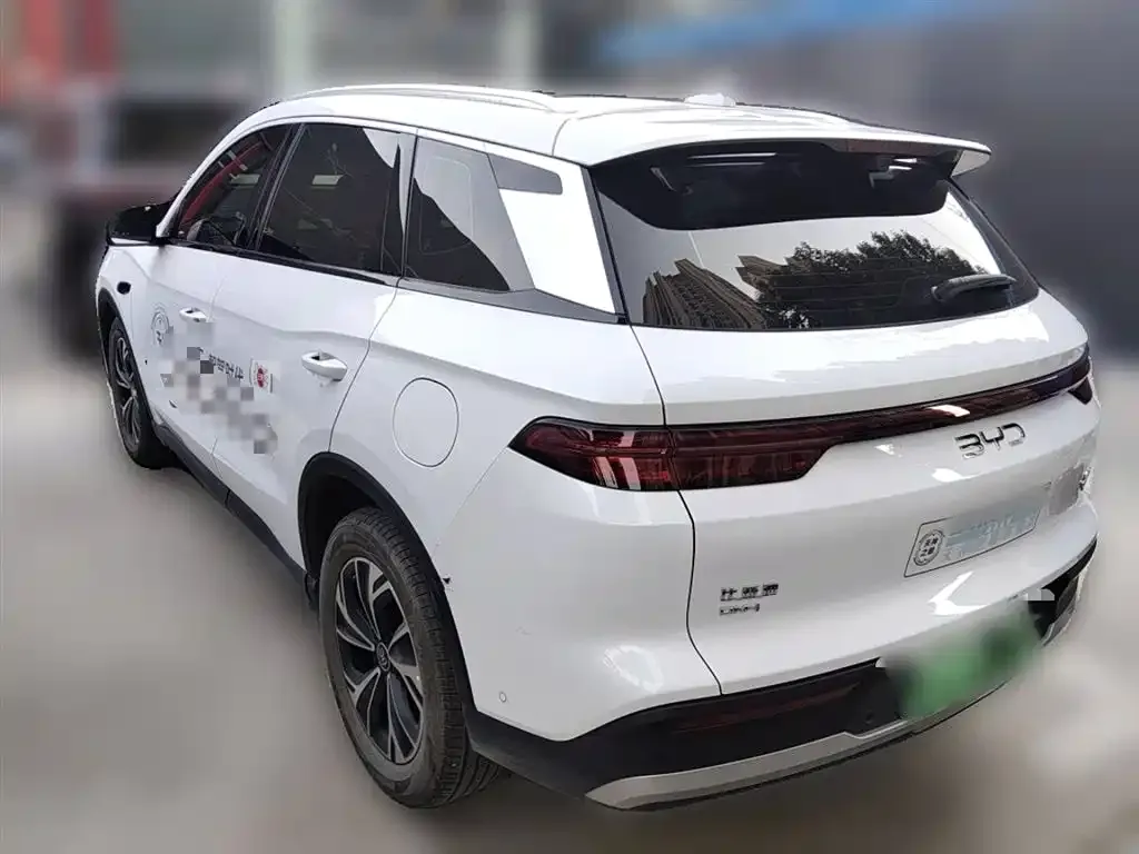 BYD Pro New Energy 2025 из CN, фото 10