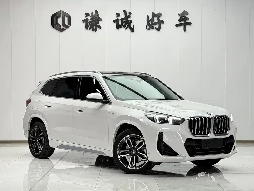 BMW X1 2024 из CN, фото 4