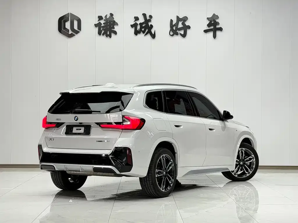 BMW X1 2024 из CN, фото 6