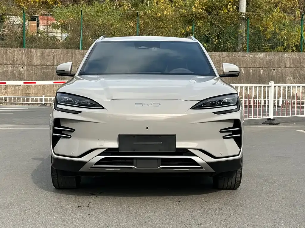BYD PLUS New Energy — фото 2