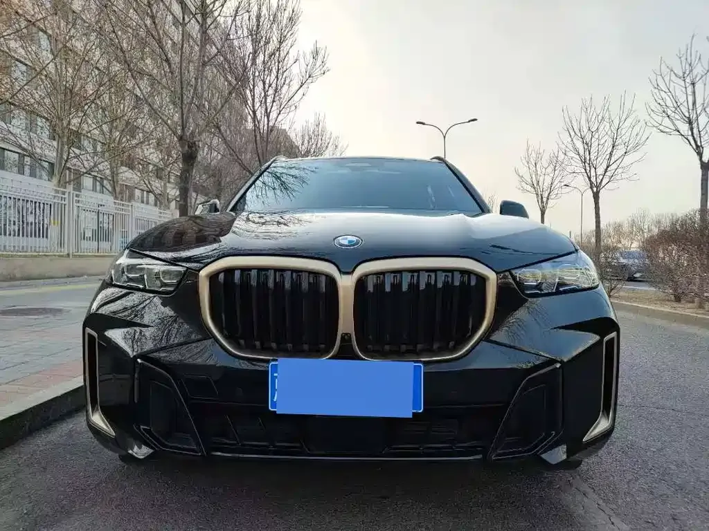 BMW X5 2025 из CN, фото 9