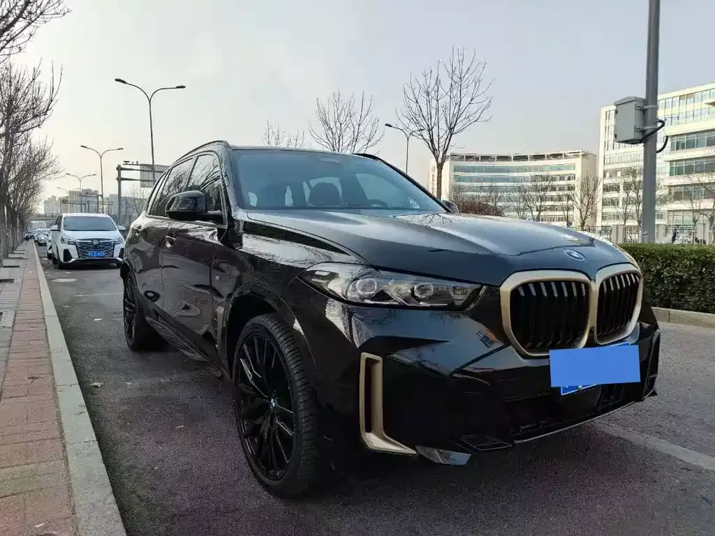 BMW X5 2025 из CN, фото 10